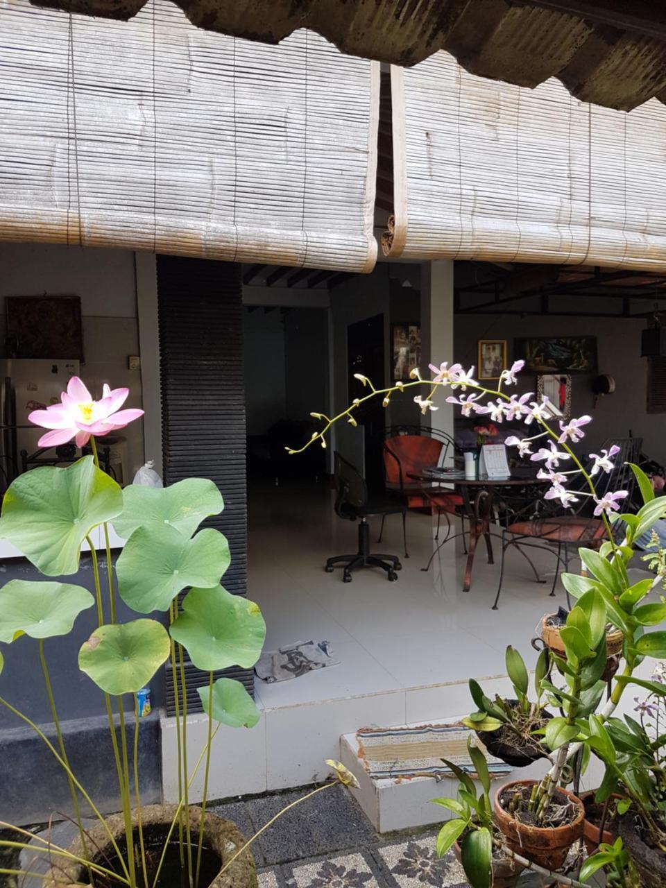 Mawar Homestay Canggu Luaran gambar