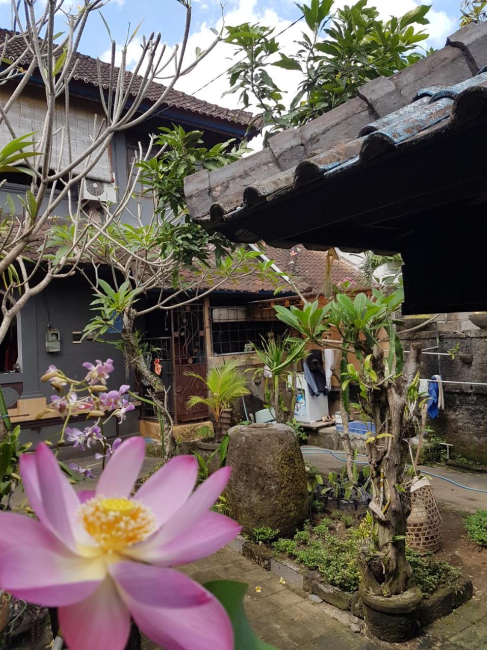 Mawar Homestay Canggu Luaran gambar